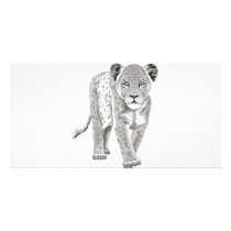 Lion Cub photo cards