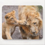 Lion Cub Playing with his Parent Mouse Pads