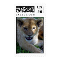 Lion Cub Postage postage by KalahariSue Lion Cub Postage postage