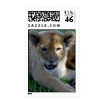 Lion Cub Postage postage