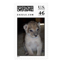 Lion cub postage