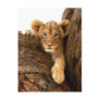 Lion Cub Post Card