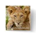 Lion Cub SQUARE button