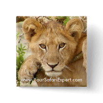 Lion Cub SQUARE button