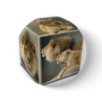 LION CUBE - A Male, A FEMALE, & A COUPLE buttons by WildOnes LION CUBE - A Male, A FEMALE, & A COUPLE buttons