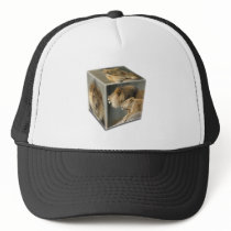 LION CUBE -  A Male, A FEMALE,  & A COUPLE hats