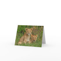Lion Cubs Note Cards