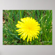 Lion Dandy Posters
