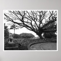 LION DOG and TREE - LILIUOKALANI PARK - HAWAII Posters