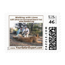 Lion Encounter Stamp (SMALL)