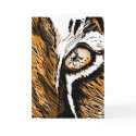 Lion Eye cards by Mercyest Lion Eye cards