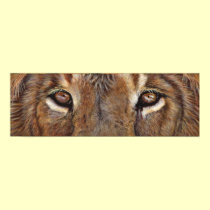 Lion Eyes Art Poster posters