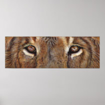 Lion Eyes Art Poster