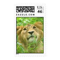 lion face 1 stamp by iluvsrk lion face 1 stamp
