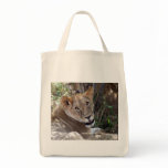 lion face bags
