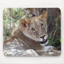 lion face mousepads