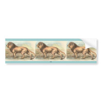 Lion, Felis leo bumper stickers