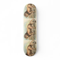 Lion, Felis leo skateboards by ZephyrusBooks Lion, Felis leo skateboards