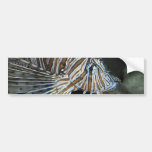Lion Fish Bumper Sticker
