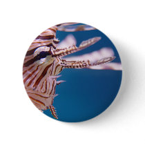 Lion Fish Face buttons by deegolden Lion Fish Face buttons