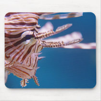 Lion Fish Face mousepads by deegolden Lion Fish Face mousepads