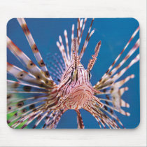 Lion Fish Looking at You Mouse Pads