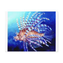 Lion Fish Of Borneo Post Cards
