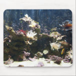 Lion fish Yellow Tang saltwater tank mousepads