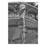 Lion Fountain - Note Card