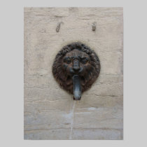 Lion fountain posters by xtinec1 Lion fountain posters