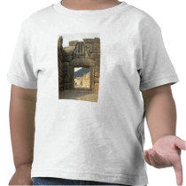 Lion Gate over the entrance Tshirts