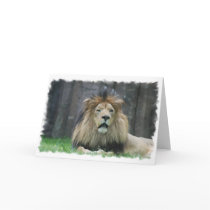 Lion  Greeting Card