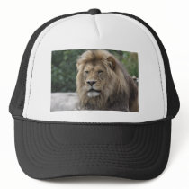 Lion Hat