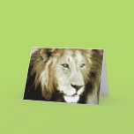 Lion Head Study Cards