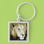 Lion Head Study Key Chains