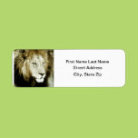 Lion Head Study Custom Return Address Labels