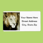 Lion Head Study Shipping Labels