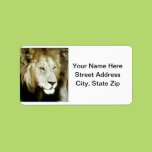 Lion Head Study Custom Address Labels
