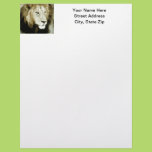 Lion Head Study Personalized Letterhead