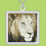 Lion Head Study Necklaces