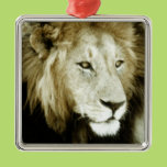 Lion Head Study Ornaments