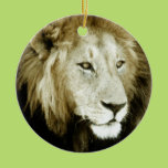 Lion Head Study Ornament