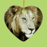 Lion Head Study Ornaments