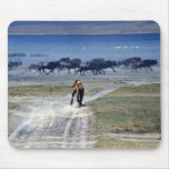 Lion hunting mouse pads