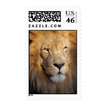 Lion Image Postage Stamp