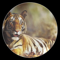 Lion Image Print Plate plates