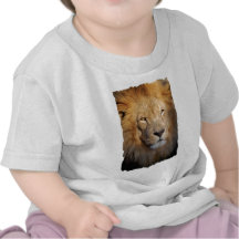 Lion Images Baby T-Shirt