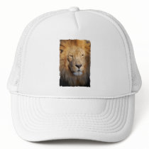 Lion Images Baseball Cap Hats
