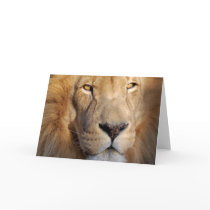 Lion Images Greeting Card