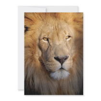 Lion Images Invitation